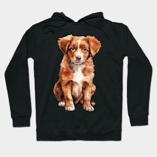 Puppy Nova Scotia Duck Tolling Retriever Hoodie